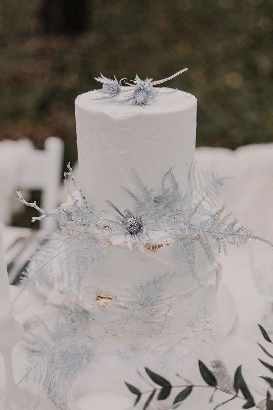 Hochzeitstorte Weiß, Wintertorte