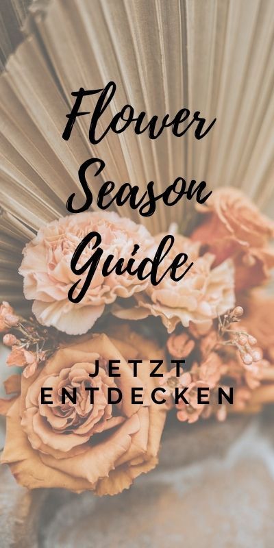 Finde alle Schnittblumen nach Jahreszeit und Monat sortiert, für eure Hochzeitsfloristik Schnittblumenkatalog, Brautstrauß, Hochzeitsfloristik, Floristik, Blumendeko, Blumenstrauß