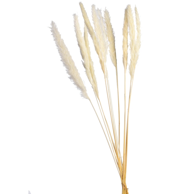 Trockenblumen Hochzeit, Gebleichtes Pampasgras, Hochzeitsdeko, Bohohochzeit