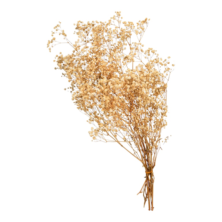 Hochzeitsdeko Trockenblumen, schleierkraut getrocknet, Trockenblumen, Hochzeitsdeko