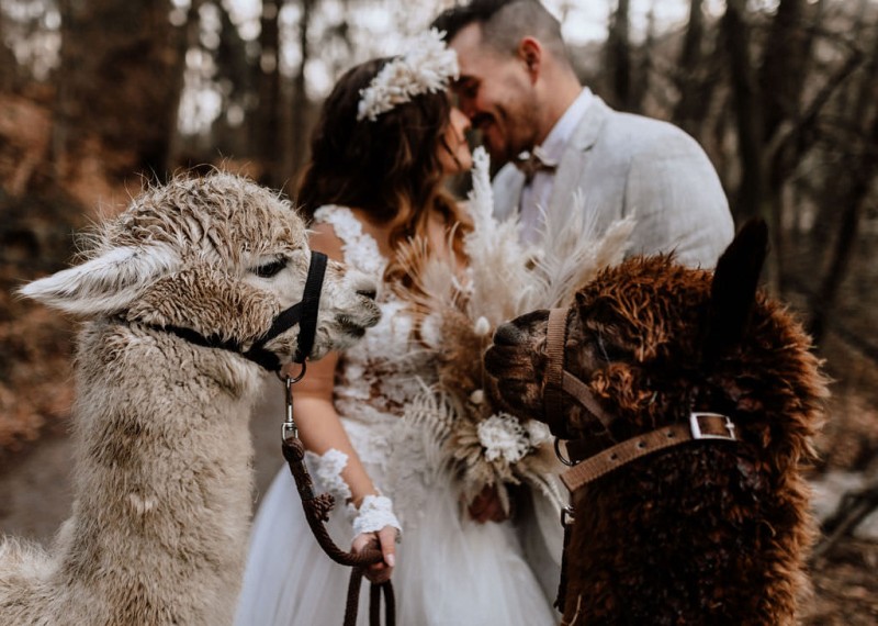 Ein romantisches Boho Brautpaar Shooting im Wald mit Alpakas beim Eventhof Kisselmühle