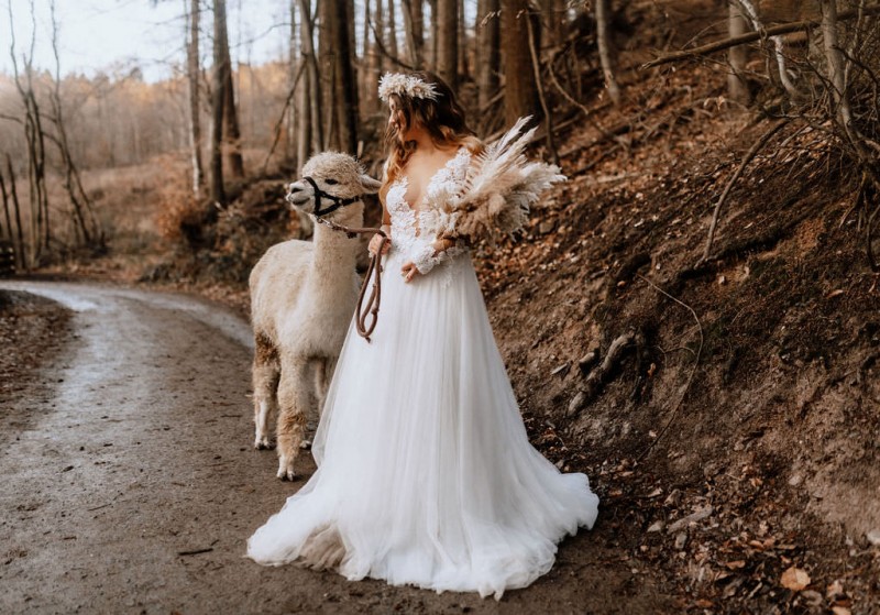 Ein romantisches Boho Brautpaar Shooting im Wald mit Alpakas beim Eventhof Kisselmühle