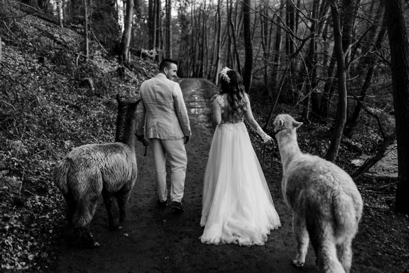 Ein romantisches Boho Brautpaar Shooting im Wald mit Alpakas beim Eventhof Kisselmühle