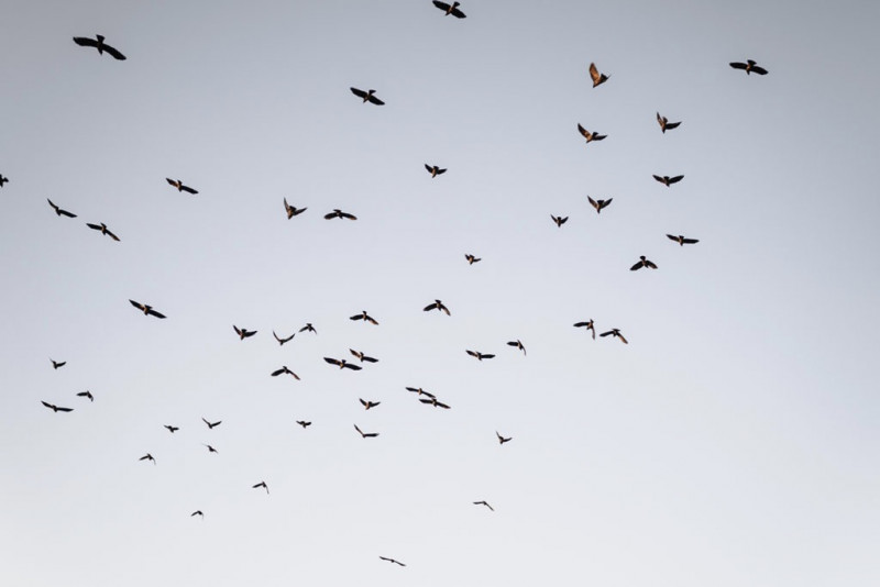 Eine außergewöhnliche Hochzeit im modern-rustikalen Stil in der Ruine Beller Kirche