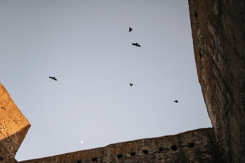 Eine außergewöhnliche Hochzeit im modern-rustikalen Stil in der Ruine Beller Kirche