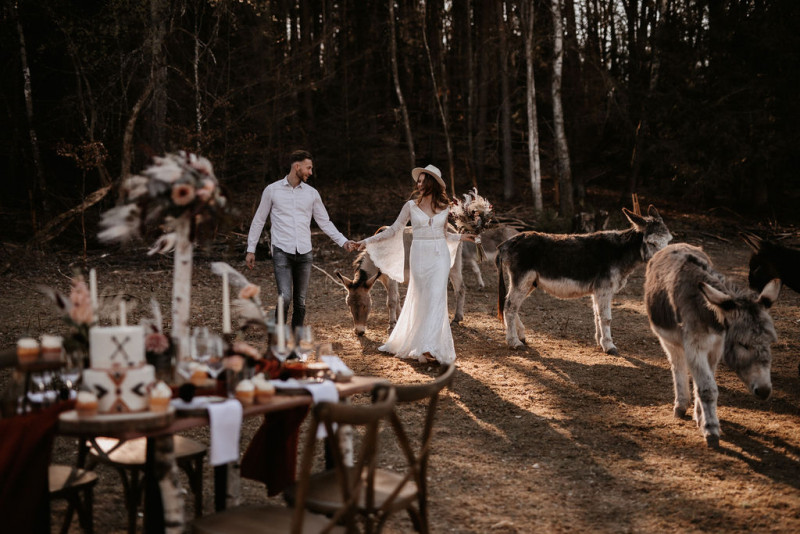 Eine atmberaubende Bohohochzeit mit suessen Eseln auf der Waldlichtung der Eselwanderung Pfalz