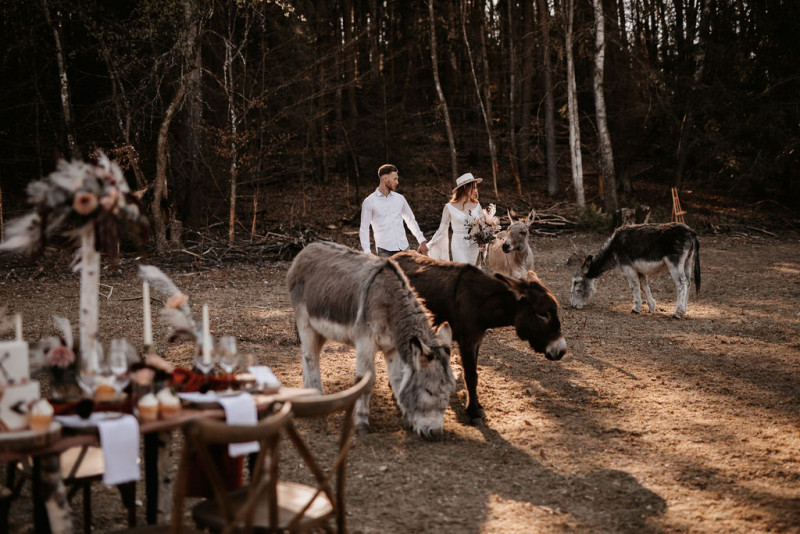 Eine atmberaubende Bohohochzeit mit suessen Eseln auf der Waldlichtung der Eselwanderung Pfalz