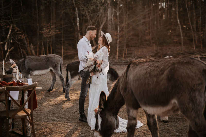 Eine atmberaubende Bohohochzeit mit suessen Eseln auf der Waldlichtung der Eselwanderung Pfalz