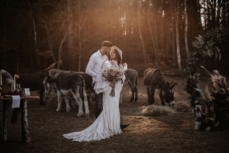 Eine atmberaubende Bohohochzeit mit suessen Eseln auf der Waldlichtung der Eselwanderung Pfalz