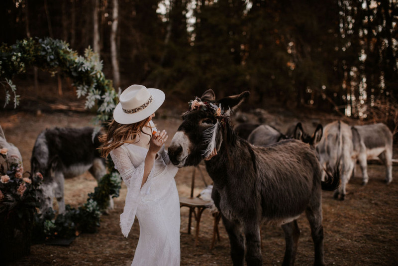 Eine atmberaubende Bohohochzeit mit suessen Eseln auf der Waldlichtung der Eselwanderung Pfalz