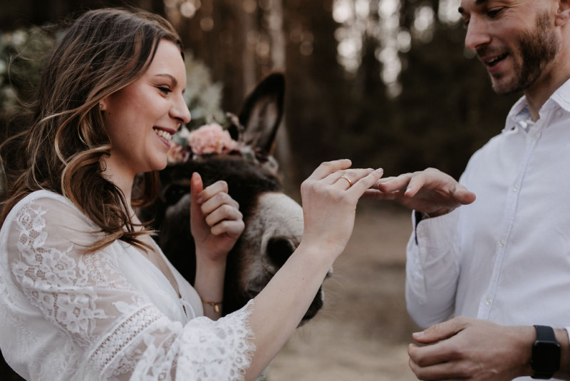 Eine atmberaubende Bohohochzeit mit suessen Eseln auf der Waldlichtung der Eselwanderung Pfalz