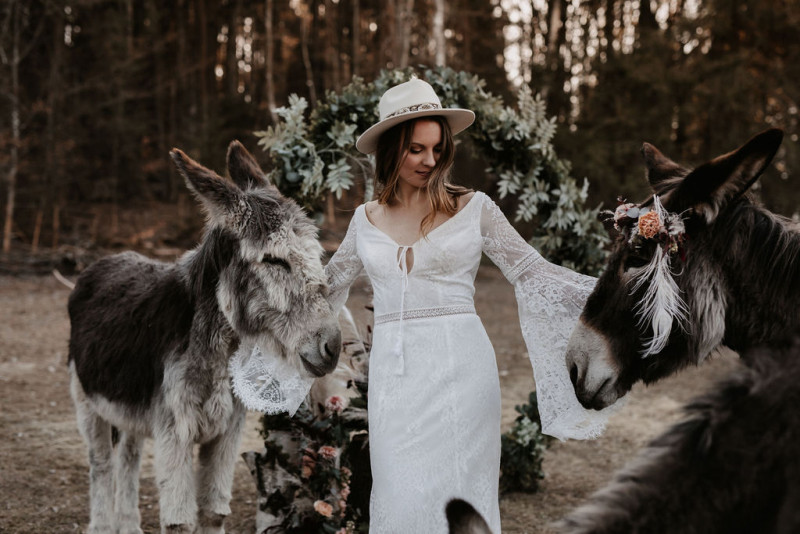 Eine atmberaubende Bohohochzeit mit suessen Eseln auf der Waldlichtung der Eselwanderung Pfalz