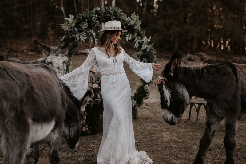 Eine atmberaubende Bohohochzeit mit suessen Eseln auf der Waldlichtung der Eselwanderung Pfalz
