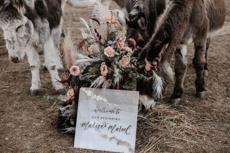 Eine atmberaubende Bohohochzeit mit suessen Eseln auf der Waldlichtung der Eselwanderung Pfalz