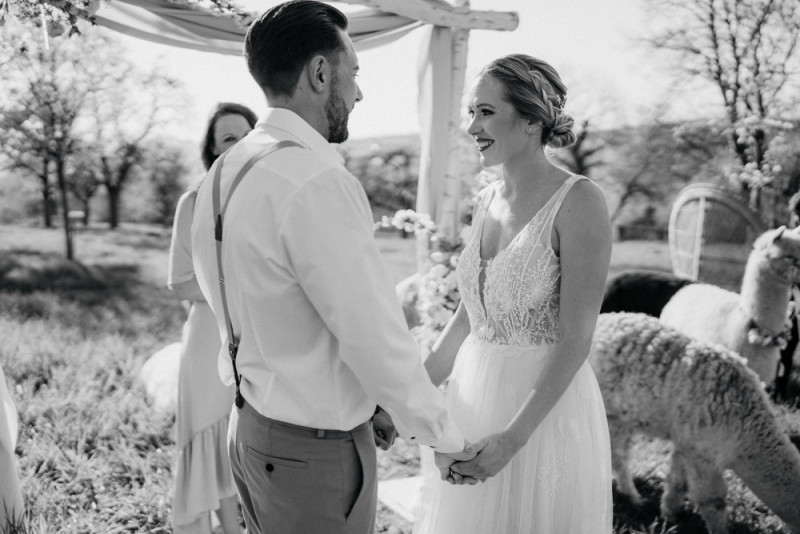 Alpaca meets Fine Art Wedding - Inspiration einer rustikalen Bohohochzeit im Fine Art Wedding Stil mit sommerlichen Pastelltoenen