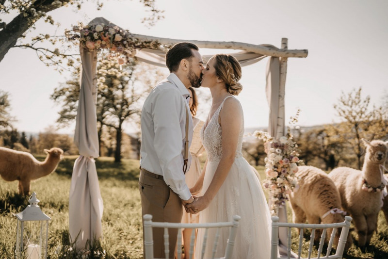 Alpaca meets Fine Art Wedding - Inspiration einer rustikalen Bohohochzeit im Fine Art Wedding Stil mit sommerlichen Pastelltoenen