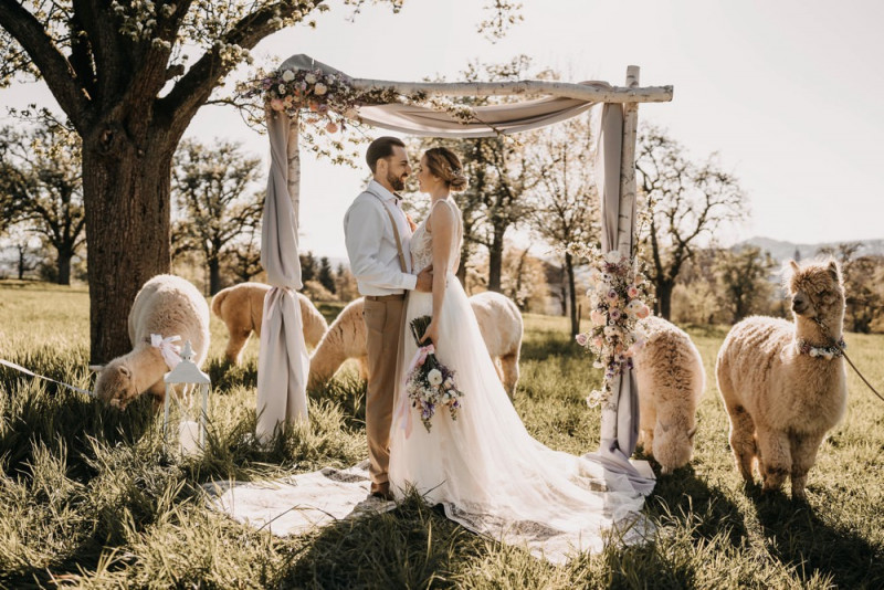 Alpaca meets Fine Art Wedding - Inspiration einer rustikalen Bohohochzeit im Fine Art Wedding Stil mit sommerlichen Pastelltoenen