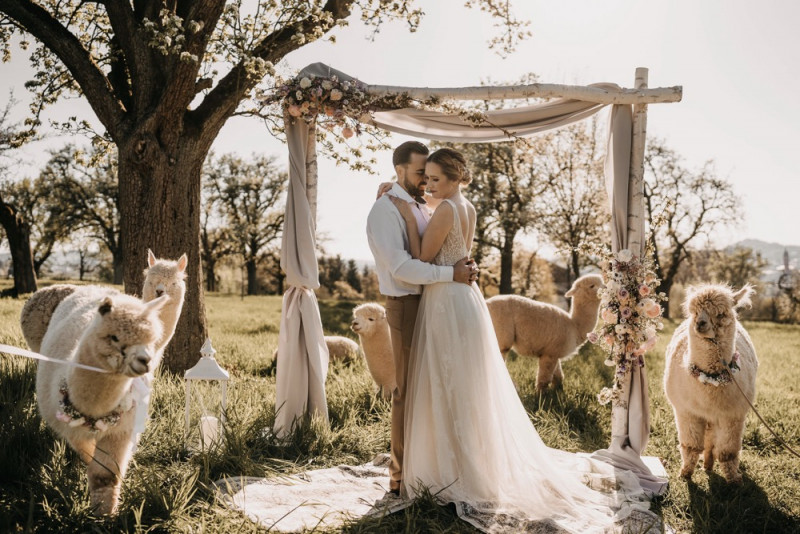 Alpaca meets Fine Art Wedding - Inspiration einer rustikalen Bohohochzeit im Fine Art Wedding Stil mit sommerlichen Pastelltoenen