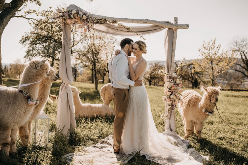Alpaca meets Fine Art Wedding - Inspiration einer rustikalen Bohohochzeit im Fine Art Wedding Stil mit sommerlichen Pastelltoenen