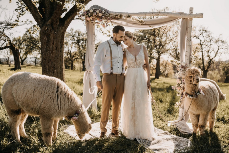 Alpaca meets Fine Art Wedding - Inspiration einer rustikalen Bohohochzeit im Fine Art Wedding Stil mit sommerlichen Pastelltoenen