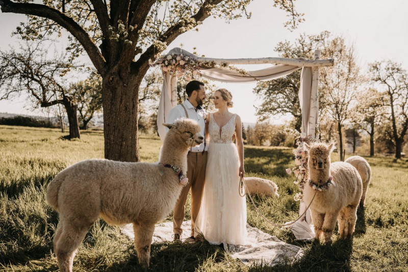 Alpaca meets Fine Art Wedding - Inspiration einer rustikalen Bohohochzeit im Fine Art Wedding Stil mit sommerlichen Pastelltoenen