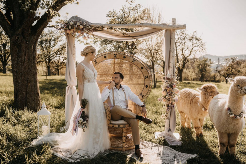 Alpaca meets Fine Art Wedding - Inspiration einer rustikalen Bohohochzeit im Fine Art Wedding Stil mit sommerlichen Pastelltoenen