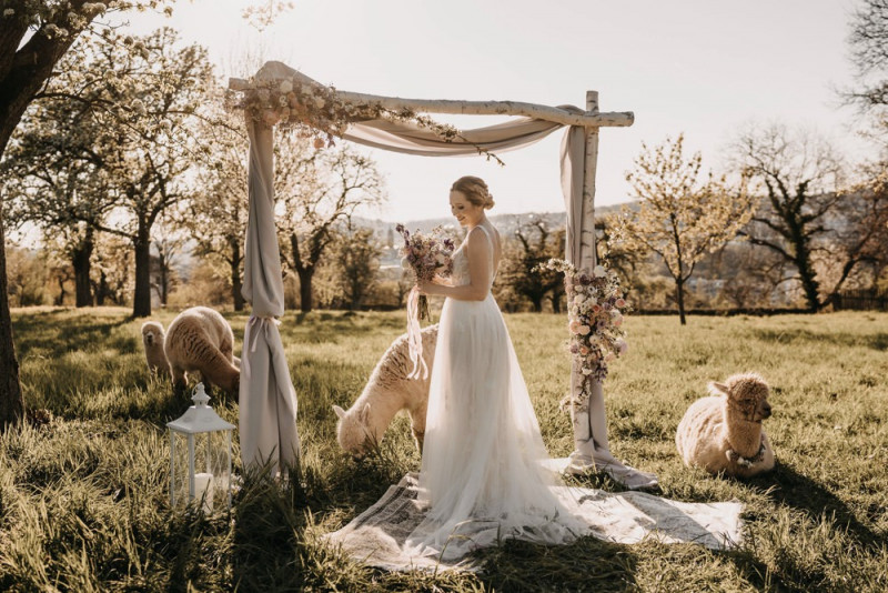 Alpaca meets Fine Art Wedding - Inspiration einer rustikalen Bohohochzeit im Fine Art Wedding Stil mit sommerlichen Pastelltoenen