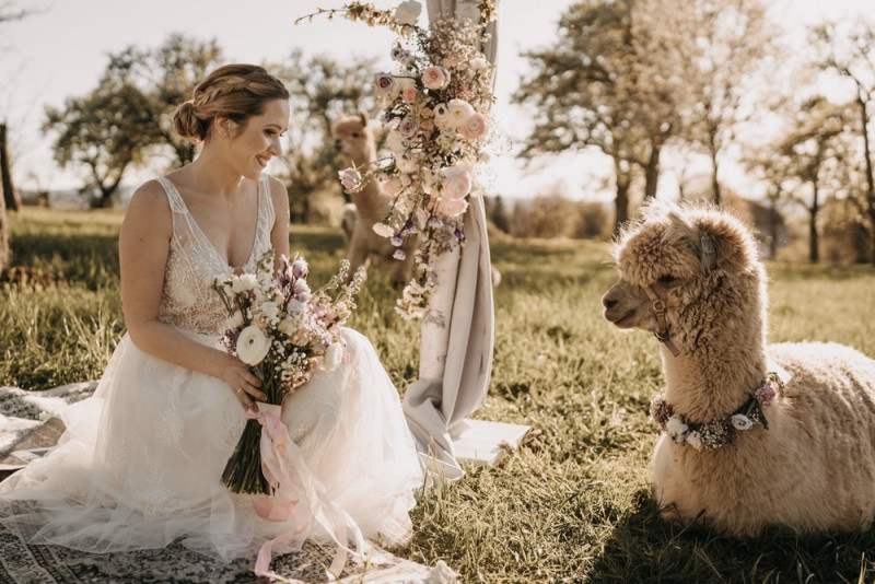 Alpaca meets Fine Art Wedding - Inspiration einer rustikalen Bohohochzeit im Fine Art Wedding Stil mit sommerlichen Pastelltoenen