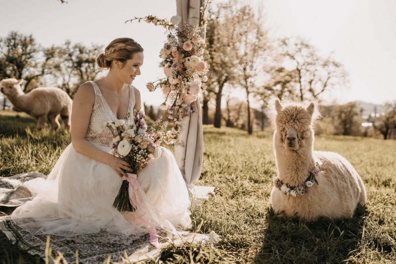 Alpaca meets Fine Art Wedding - Inspiration einer rustikalen Bohohochzeit im Fine Art Wedding Stil mit sommerlichen Pastelltoenen
