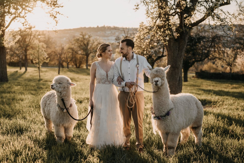 Alpaca meets Fine Art Wedding - Inspiration einer rustikalen Bohohochzeit im Fine Art Wedding Stil mit sommerlichen Pastelltoenen