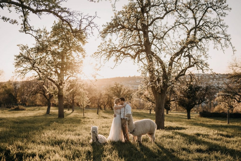 Alpaca meets Fine Art Wedding - Inspiration einer rustikalen Bohohochzeit im Fine Art Wedding Stil mit sommerlichen Pastelltoenen