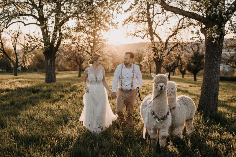 Alpaca meets Fine Art Wedding - Inspiration einer rustikalen Bohohochzeit im Fine Art Wedding Stil mit sommerlichen Pastelltoenen