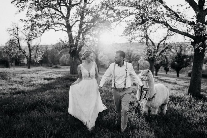 Alpaca meets Fine Art Wedding - Inspiration einer rustikalen Bohohochzeit im Fine Art Wedding Stil mit sommerlichen Pastelltoenen