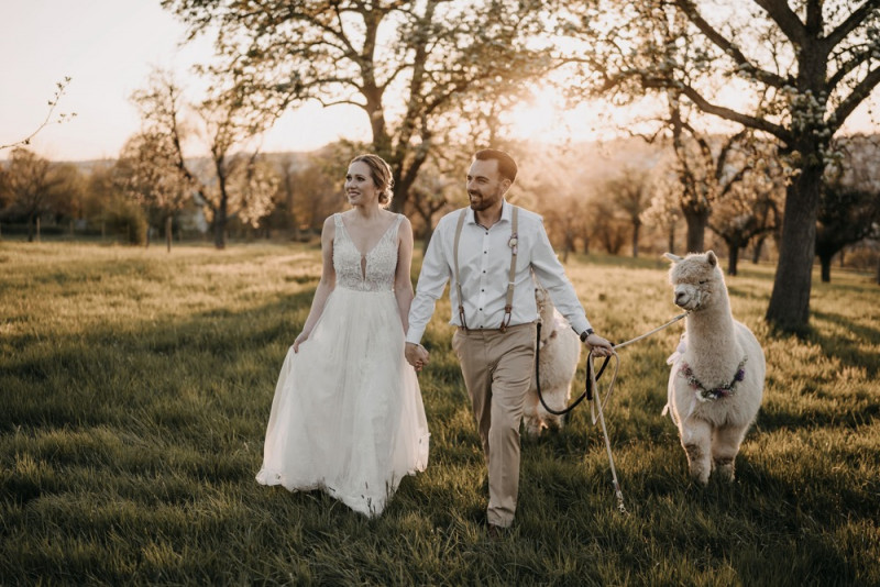 Alpaca meets Fine Art Wedding - Inspiration einer rustikalen Bohohochzeit im Fine Art Wedding Stil mit sommerlichen Pastelltoenen