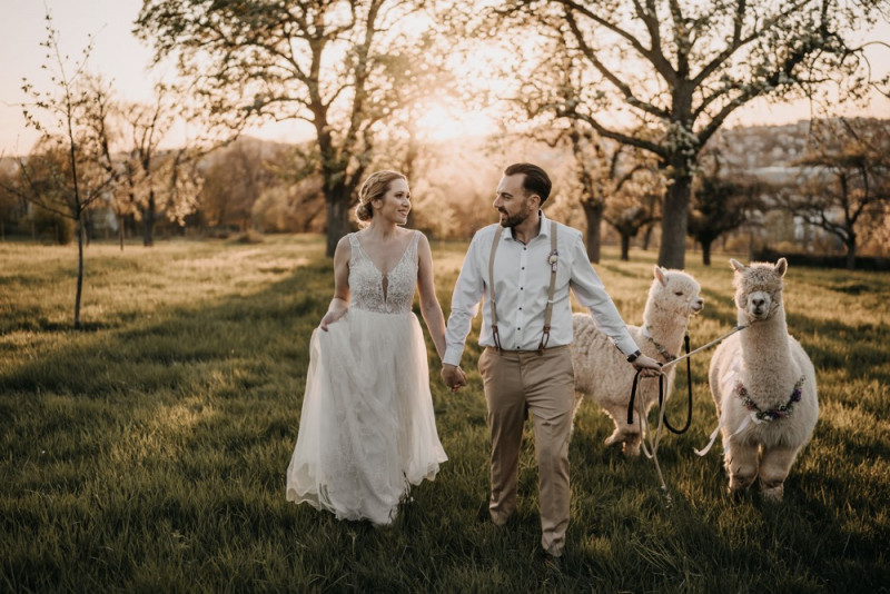 Alpaca meets Fine Art Wedding - Inspiration einer rustikalen Bohohochzeit im Fine Art Wedding Stil mit sommerlichen Pastelltoenen