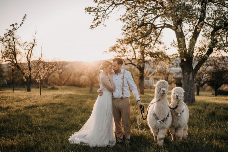Alpaca meets Fine Art Wedding - Inspiration einer rustikalen Bohohochzeit im Fine Art Wedding Stil mit sommerlichen Pastelltoenen