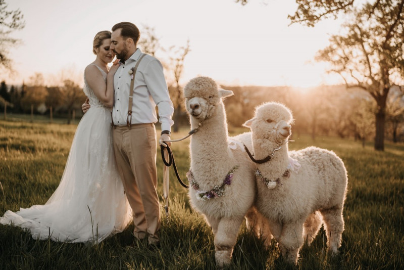 Alpaca meets Fine Art Wedding - Inspiration einer rustikalen Bohohochzeit im Fine Art Wedding Stil mit sommerlichen Pastelltoenen