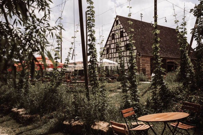 Eine rustikale Bohohochzeit im Freien in den Farben Blush und Grün