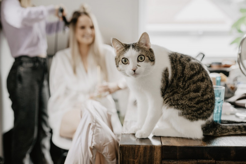 Die Hochzeitsreportage von Soni & Martin, Eine rustikale Bohohochzeit in der Scheune des Landgasthofs Lenderstuben