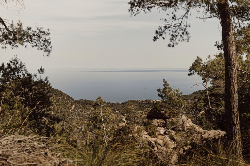 Eine dreitägige Mallorca Hochzeit mit Ballermann-Abend, Get Together Abendessen und großer Hochzeitsfeier